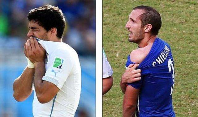 他敏锐地察 他敏锐地察