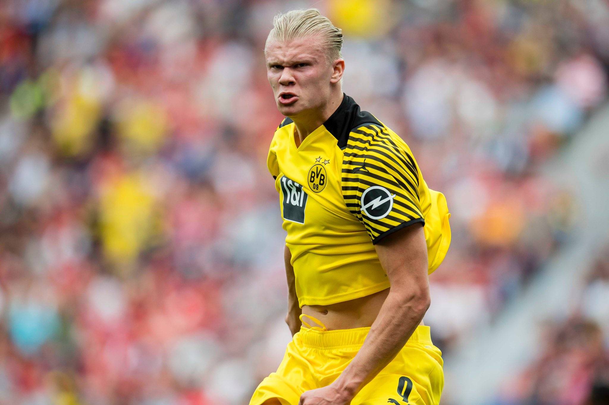 分的关键模 分的关键模